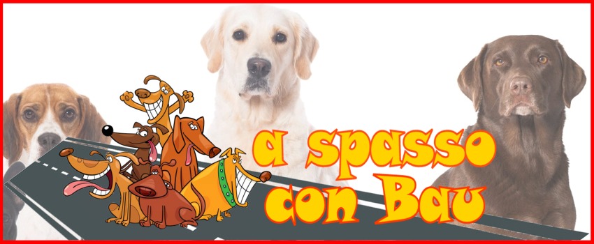 A spasso con bau