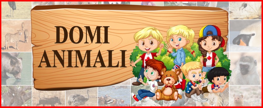 Domi animali