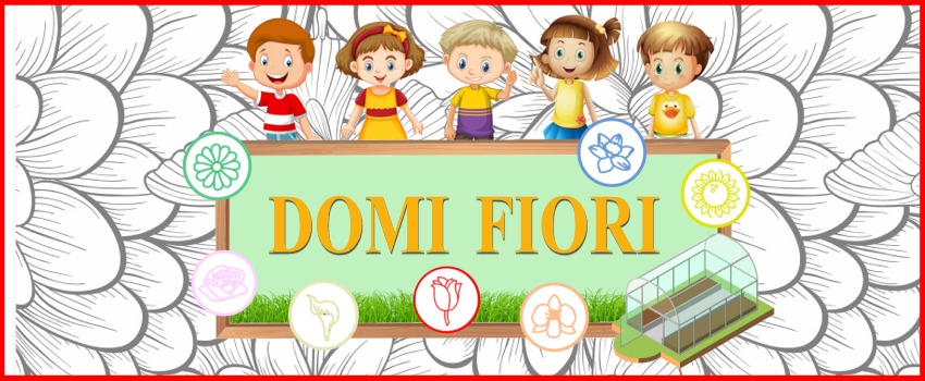 Domi fiori